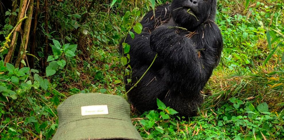 10-days-uganda-wildlife-gorilla-trekking-safari