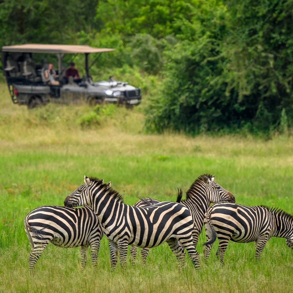 2 Days Akagera Luxury Tour