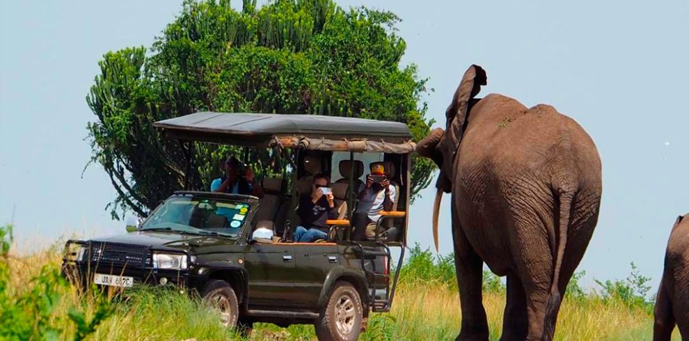 5-days-bwindi-lake-bunyonyi-queen-elizabeth