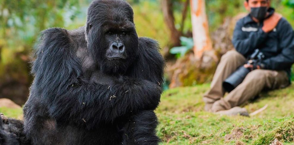 7-days-gorilla-wildlife-safari-in-uganda