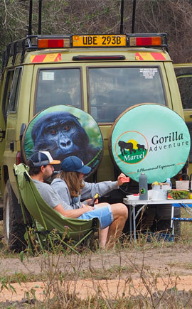 Gorilla Trekking and Safaris