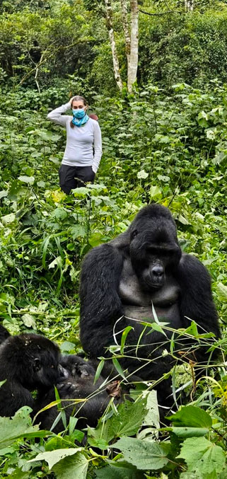 Gorilla Trekking and Safaris