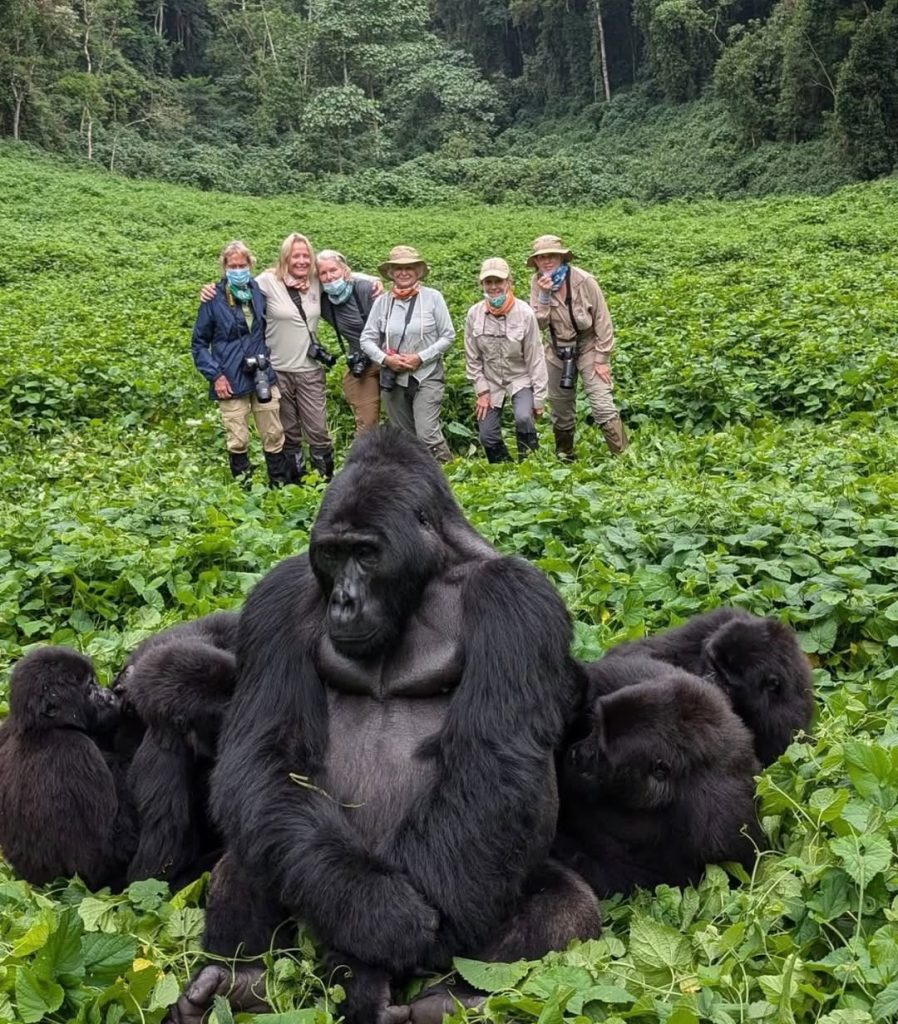 Gorilla trekking in Bwindi Impenetrable National Park