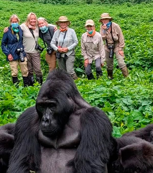 gorilla-trekking-in-uganda