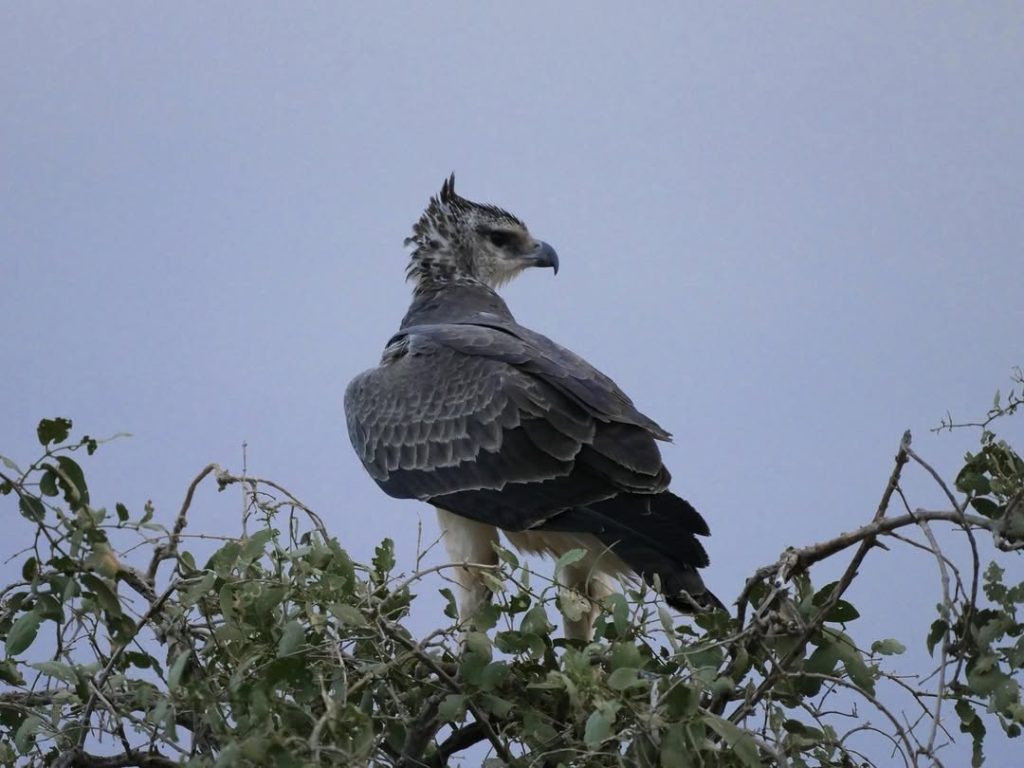 Kidepo Valley National Park