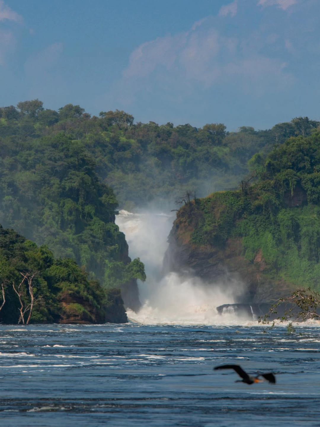 10-Day Uganda and Rwanda Safari 