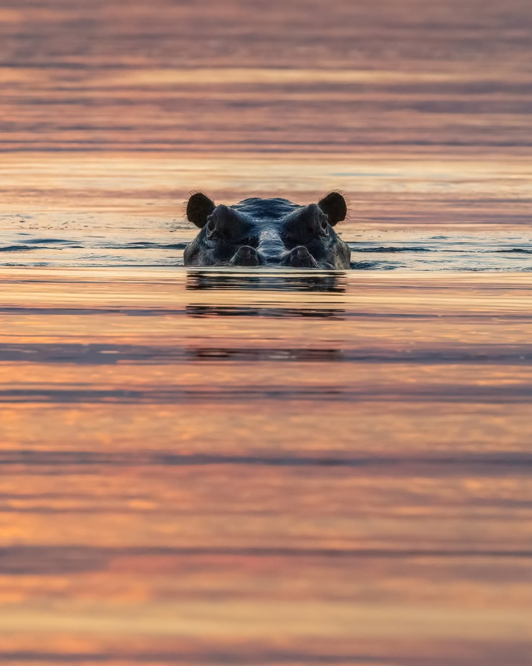 Best National Parks to Visit in Uganda and Rwanda