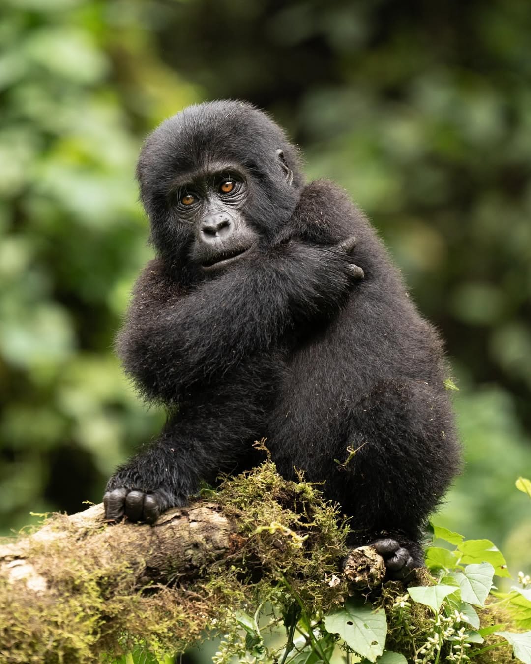 Best Places Rwanda First-Time Travelers