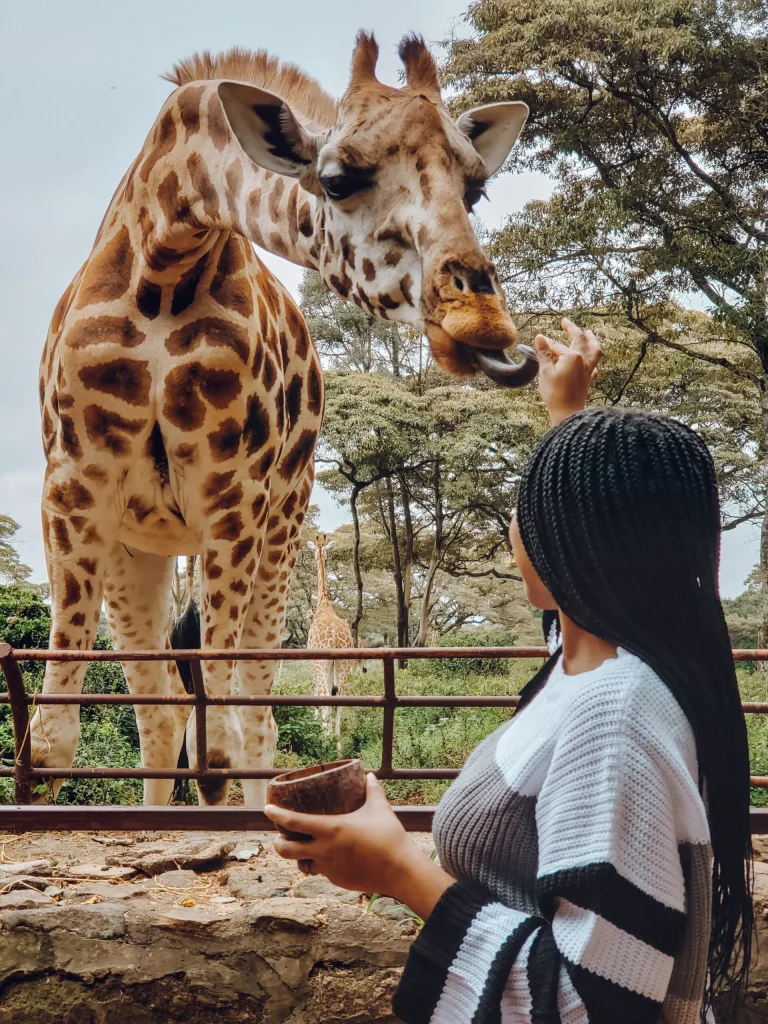 16 Days Uganda Gorilla Trekking and Kenya Wildlife Circuit