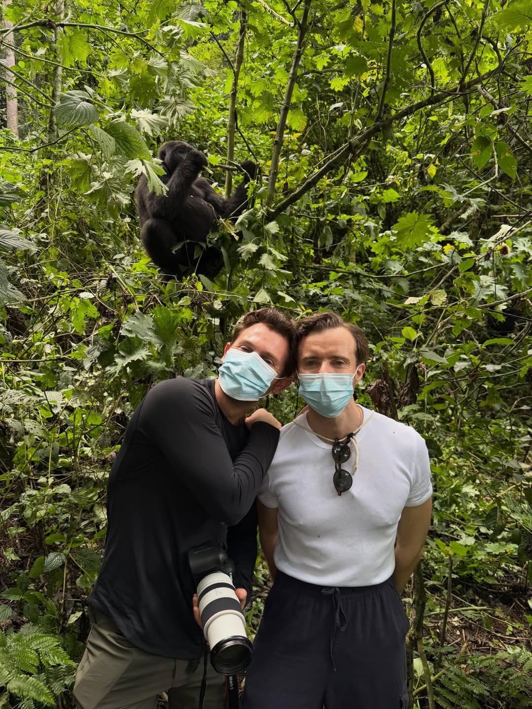 Gorilla Cost Uganda Rwanda