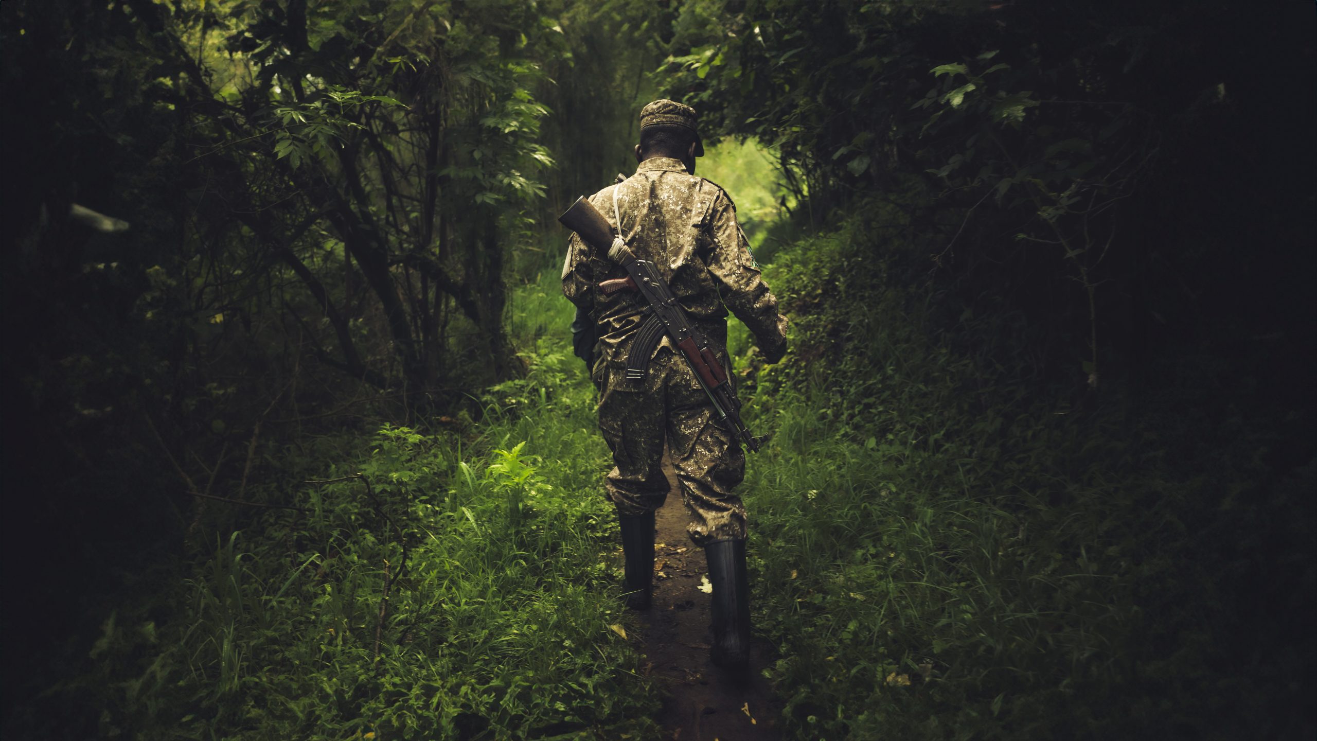 Gorilla Cost Uganda Rwanda