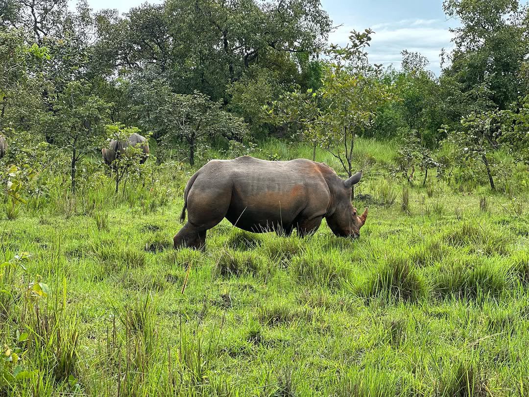 Top 25 Tourist Attractions in Uganda and Rwanda