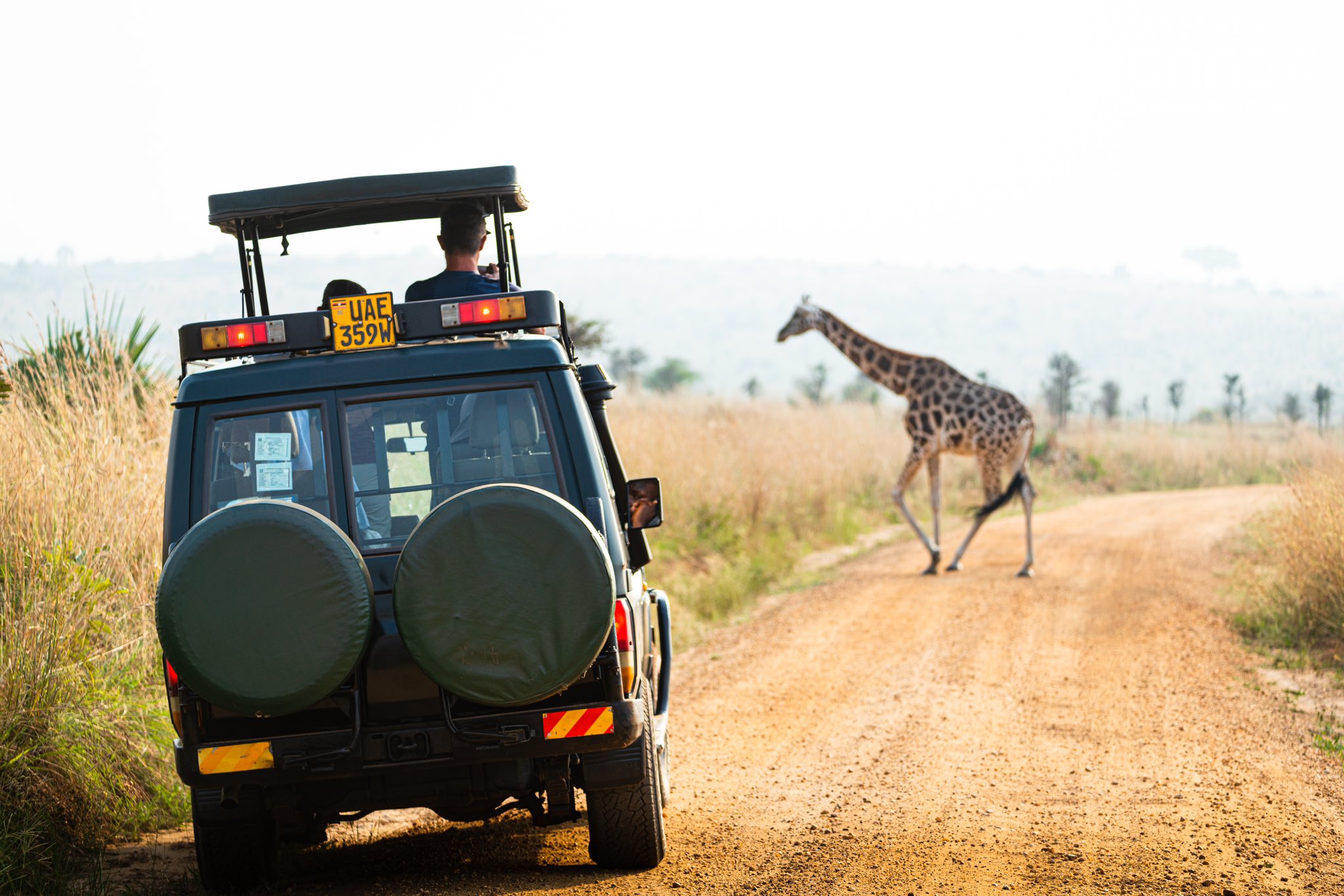 Top Things to Do in Murchison Falls National Park