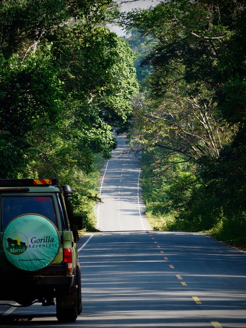 Best Road Trip Routes in Uganda and Rwanda