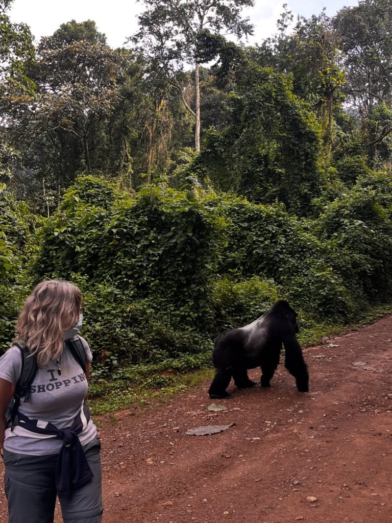 Rwanda Ebola Update 2026