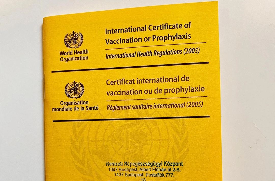 Uganda Yellow Fever Update